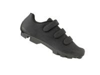 Schoen